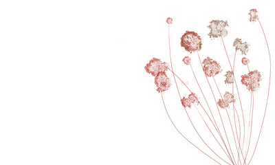 the flowers on white background