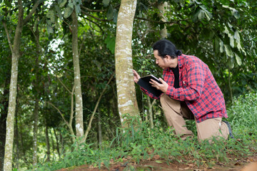 Eco technology concept young male checking tree conditions using smart tablet device in rainforest southeast asia jungle