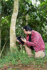 Young male forestry expert working with tablet to assess  tree root health condition dense tropical Indonesian forest