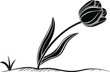 Tulip Flower Illustration Design. Hand Drawn Tulip Floral Art. Elegant Tulip Line Drawing. Minimal Botanical Tulip Outline