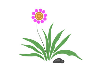 flower plant simple flat design. spring banner clip art  vector illustration template on the transparent background.