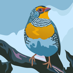 Obraz premium Realistic full-body image of a Star Finch bird on a clean white background, ideal for print and digital use
