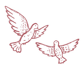Couple of dove drawn in whimsial sketch style in pink color