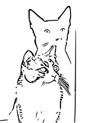 Hand-Drawn Sketch of Two Cats in Black and White Line Art Style
