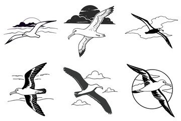 fly 6 albatross birds bundle