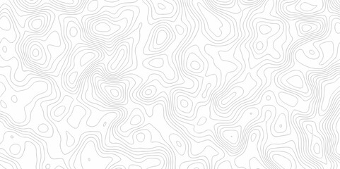 Abstract minimal The patter discovery vector topo map creative discovery White wave grid stripe line map topography. vector geographic contour mounted map background.	
