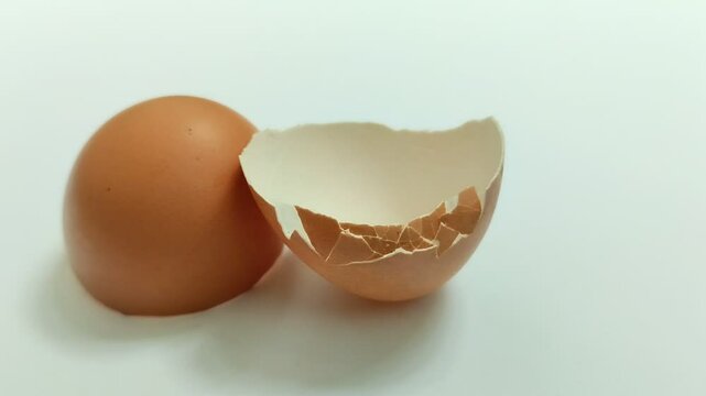 broken chicken egg shell on white background. Chicken egg shell is very useful for plants and health.