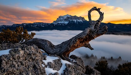 Fototapeta premium Pastel Sky at Sunrise Over Distant Forest and Mountains