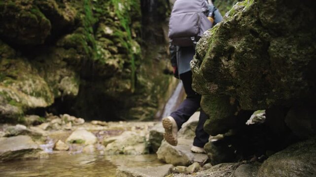 A hiker steps through a calm stream flanked by moss-covered boulders in a tranquil woodland setting.