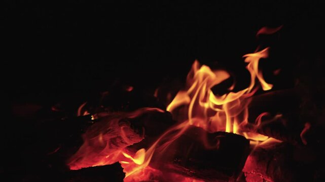 Bright orange flames dance over glowing embers in a campfire, creating a warm nocturnal atmosphere.