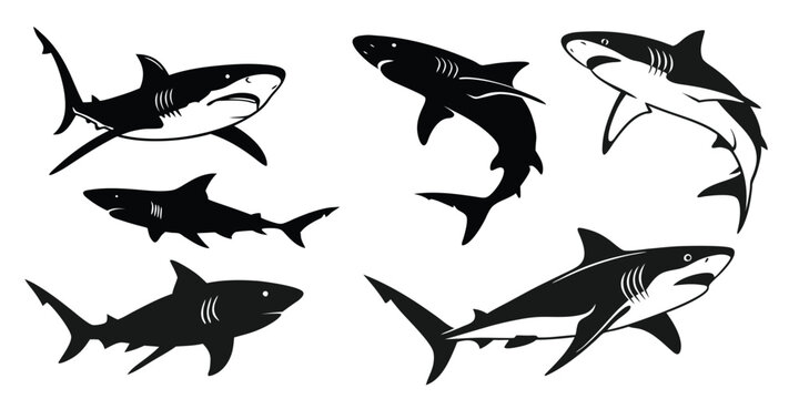 set of sharks black silhouette art