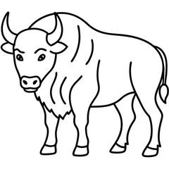 Polar Bison line art vector