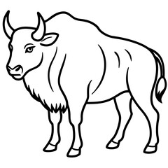 Polar Bison line art vector