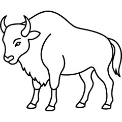 Polar Bison line art vector