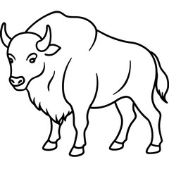Polar Bison line art vector