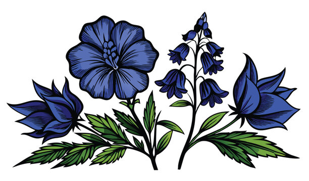 Hooded blue monkshood and wolfsbane flowers illustration