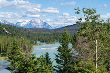 Summer Landscape of Athabasca River with Sandbars and Forest in the Canadian Rockies. Jasper National Park, Alberta, Canada
