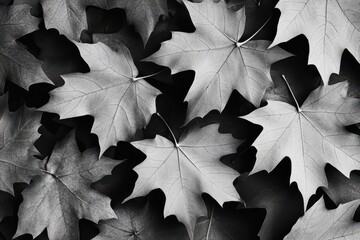 Striking Yellow Maple Leaf Amidst Monochrome Autumn Leaves in Elegant Closeup