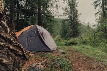 Tent in the wild forest 