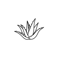 Spiky Aloe Vera Leaf Silhouette