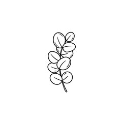 Obraz premium Eucalyptus Round Leaves Icon
