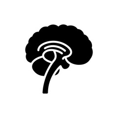 Brainstem Connecting to Spinal Cord Showing Nervous System Pathway