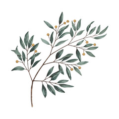 Watercolor Greenery Corner Clipart with Berries