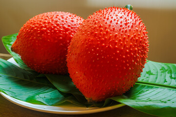 A ripe Gac fruit (Momordica cochinchinensis) with its spiny red-orange exterior rests among lush green leaves. Its vibrant color contrasts beautifully with the tropical surroundings.