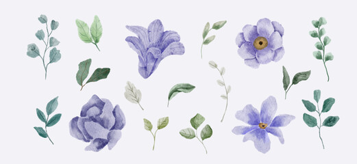 set of purple floral watercolor