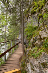 Hiking trail along the Serga River in the Deer Streams Nature Park, Yekaterinburg, Sverdlovsk region