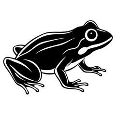 frog