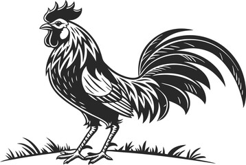 Rooster Design Illustration for Digital Art. Colorful Rooster Design Illustration for Print. Artistic Rooster Design Illustration in High Quality. Rooster Design Illustration for T Shirt Graphics