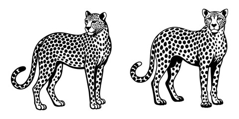 Obraz premium A Cheetah vector silhouettes 