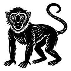 Obraz premium A Monkey vector silhouettes 