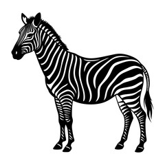 Obraz premium A Zebra vector silhouettes 