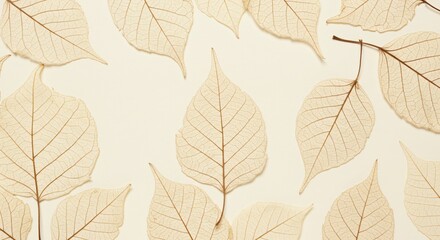 Obraz premium A lot of autumn light gray leaves on a light background. Abstract composition of yellow and orange foliage for autumn design.