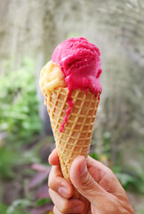 Melting Sorbet Passionfruit and Raspberry Ice Cream Cone in Hand