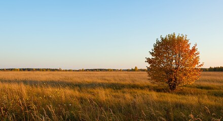 Obraz premium AI-Generated of Lone Autumn Tree with Golden Meadow under Clear Blue Sky and Negative Space
