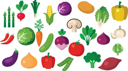 Hand drawn colorful vegetables and salad. Modern abstract minimal style. Healthy organic food. Tomatoes, onion, zucchini, eggplant, leek, potatoes, corn, peppers, beet. Vector flat illustration. 