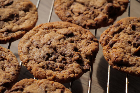 Chocolate cookies on cooling rack. Freshly baked chocolate chip cookies, sweet snack. - Powered by Adobe