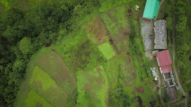 Camping in Didna Village, Uttarakhand, India. The Roopkund trail ascends through enchanting dark forests before suddenly opening up into Ali and Bedni Bugyal &mdash; India&rsquo;s high-altitude meadows.