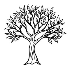Obraz premium Detailed line art vector of an olive tree featuring twisted, gnarled branches and small, elongated leaves. Perfect for Mediterranean, botanical, or rustic design projects and nature-themed