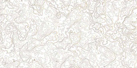 Topographic map background geographic line map with elevation assignments. Fish Fillet Texture, Salmon fillet texture, fish pattern. paper texture