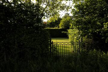 Metal fence door overgrown greenery in garden landscape, hidden entrance in nature, surrounded by...