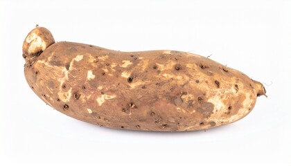 Fototapeta premium Elephant Foot Yams on Isolated White Background – Massive Edible Tuber with Bold Shape and Industrial Composition