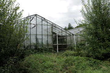Outside exterior of overgrown green house with growing green vines covering glass panels and walls building.