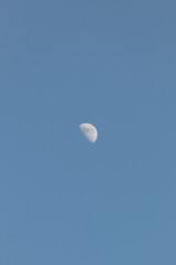 Moon crescent blue sky vertical photo.. Black and white half moon in sky photography.