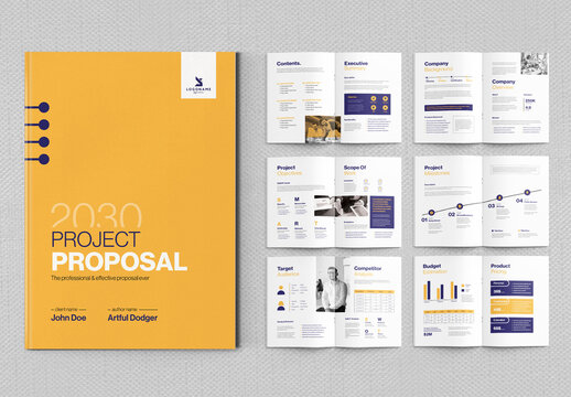 Professional And Effective Project Proposal Layout