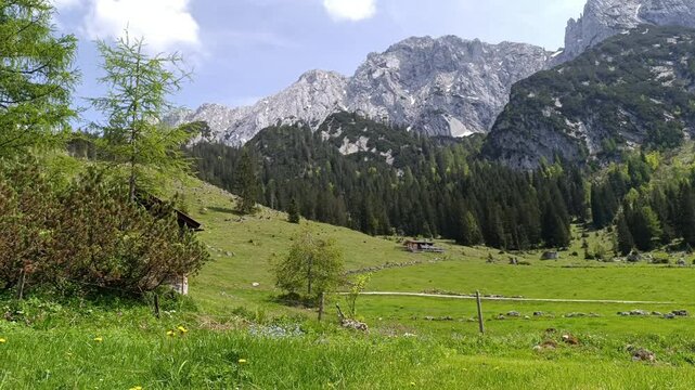 Exploring the stunning landscapes of Steinberg in Tyrol with lush green meadows and majestic mountains