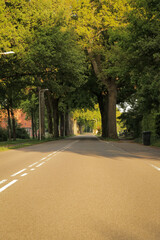Empty road neighborhood town summer trees and grass at golden hour, peaceful rural landscape in Europe.